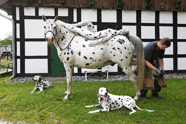 Hufschmied / Farrier Bodypainting